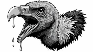 Gagası açık ve salya damlacıkları akan bir akbabanın yakın görüntüsü.