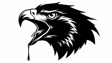 Açık gagalı siyah-beyaz kartal resmi.