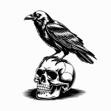 Siyah-beyaz oyma tarzında bir kuzgun insan kafatasına tünemiş.