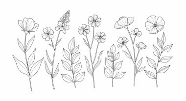 Özetlenmiş çiçek ve yapraklardan oluşan bir koleksiyon. İçinde haşhaş, küçük çiçekler ve minimalist bir sanat tarzında yapılmış yaprak sapları da var..