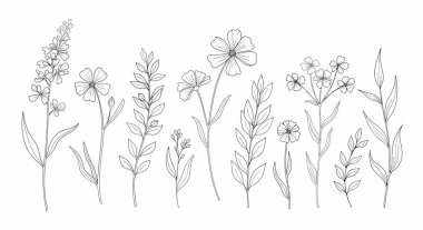 Çeşitli kır çiçekleri ve yapraklı dallar da dahil olmak üzere özetlenmiş çiçek unsurları koleksiyonu, temiz, minimalist bir sanat tarzında yapılmış..