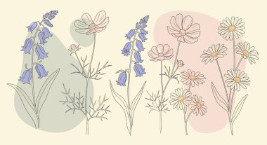 Mavi çan, kozmos ve papatyaları içeren yumuşak pastel renkli çiçek koleksiyonu. Çiçekler narin, minimalist bir şekilde çizilir..