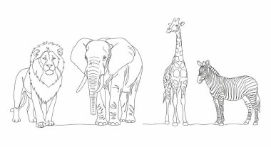 Aslan, fil, zürafa ve zebranın basit ve temiz bir şekilde öne doğru yan yana durdukları çizgiler..