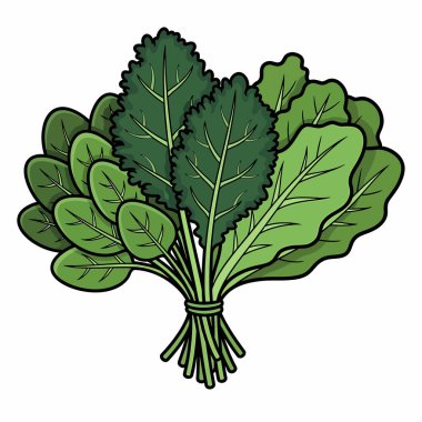 Ispanak, lahana ve marul da dahil olmak üzere yeşil yapraklı sebzelerin iplikle birbirine bağlanmış hali..