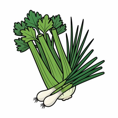 Renkli bir illüstrasyonda taze kereviz sapları, yaprak kaplı kabuklar, yeşil filizli soğanlar ve beyaz ampuller, mutfak ve sağlıklı beslenme temaları için mükemmel..