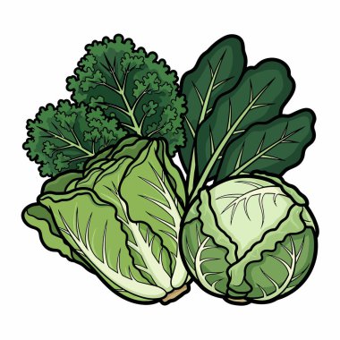 Lahana, ıspanak ve lahana gibi yeşil yapraklı sebzeler sağlıklı yemek ve vejetaryen temaları için mükemmel..