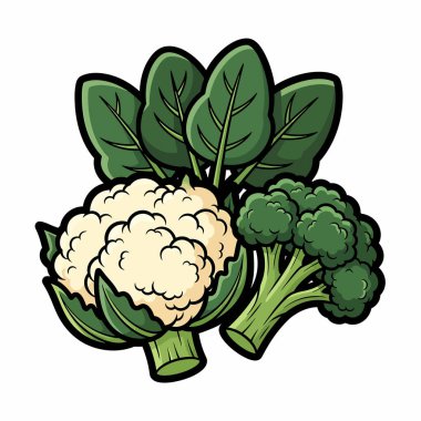 Canlı bir karikatür çizimi karnabahar başı, brokoli çiçeği ve birkaç ıspanak yaprağı sergiliyor. Hepsi de neşeli ve resimli bir tarzda yapılmış..