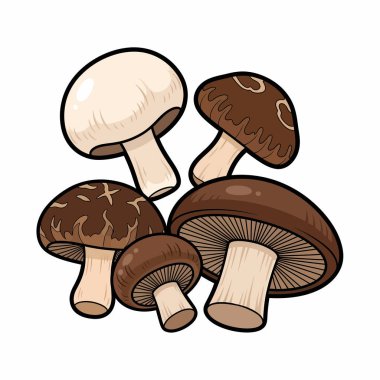 Portobello, shiitake ve düğme mantarları da dahil olmak üzere yenilebilir mantarların rengarenk bir görüntüsü var. Mutfak ve eğitim amaçlı..