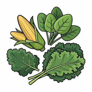 Taze mısır, ıspanak ve lahananın yer aldığı illüstrasyonda sağlıklı beslenme ve canlı ürünler sergileniyor..