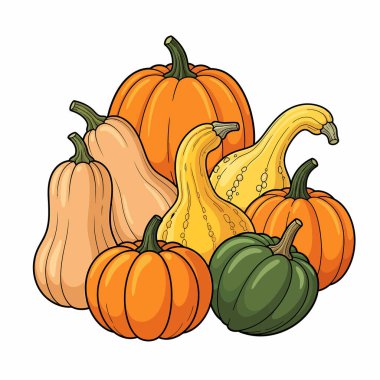 Çeşitli şekillerde, boyutlarda ve renklerde canlı bir balkabağı ve kabağı koleksiyonu. Sonbahar dekorasyonları ve mevsimsel gösteriler için mükemmel..