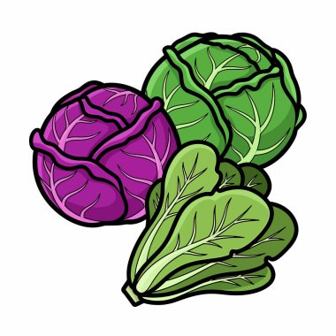 Kırmızı lahana, yeşil lahana ve marul içeren renkli bir illüstrasyon. Basit bir kompozisyonda taze ürünler sergileniyor..