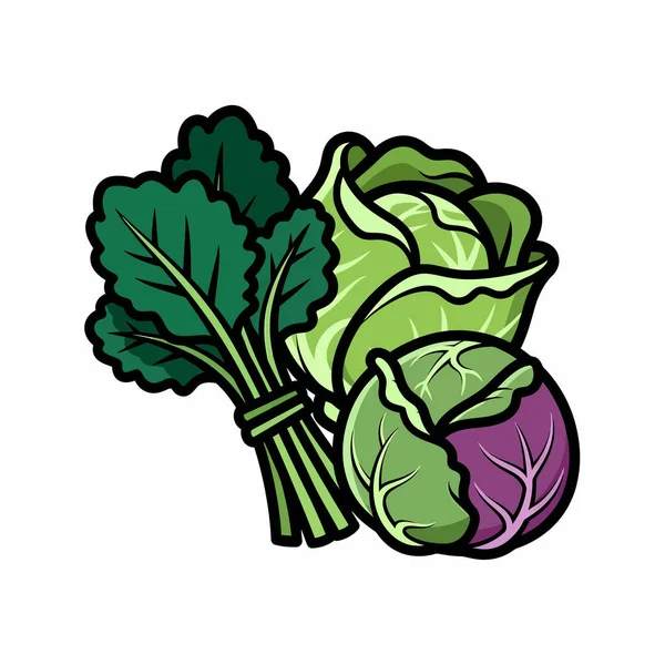 Lahana ve yapraklı yeşillikler de dahil olmak üzere taze sebzelerin tasviri, sağlıklı beslenmek veya çiftlikten sofraya konseptler için idealdir..