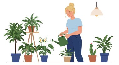 Sarışın bir kadın yeşil bir sulama tenekesiyle ev bitkilerini suluyor. Etrafı saksı bitkileriyle çevrili. Barış zambağı ve kaktüs de dahil..