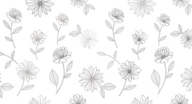 İnce çizgili sanat eserlerinde tekrar eden papatya ve yaprak deseni. Çiçekler çiçek açmanın çeşitli aşamalarında, ayrıntılı saplarıyla..