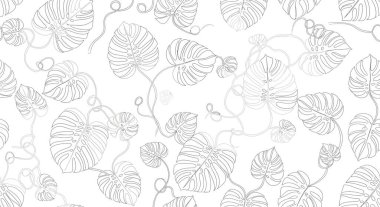 Çizilmiş canavar yaprakları ve bukleli sarmaşıkların tekrar eden deseni, griye boyanmış, narin ve havadar bir botanik tasarım yaratıyor..