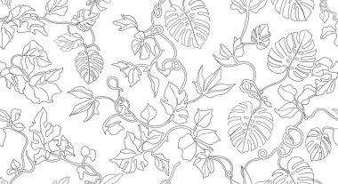 Çeşitli canavar yaprakları ve sarmaşık sarmaşıkları içeren karmaşık bir çizgi, kusursuz bir botanik desen oluşturur..