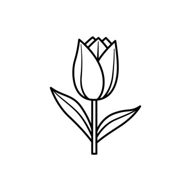 Kök ve Yapraklarla Bir Lale Çiçeğinin Basit Taslak Çizimi