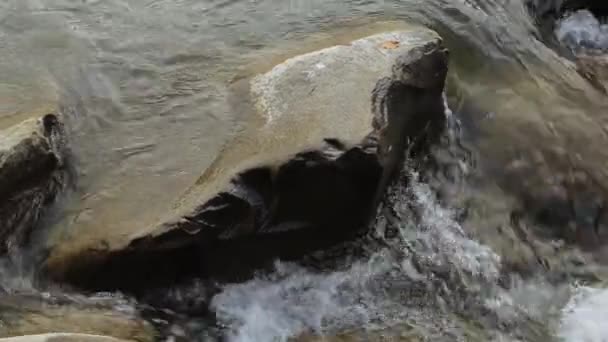 Vista Rio Montanha Pedras Rochas Fluxo Fluvial — Vídeo de Stock