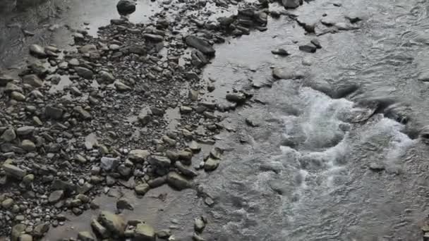Vista Del Río Montaña Piedras Rocas Caudal Del Río — Vídeos de Stock