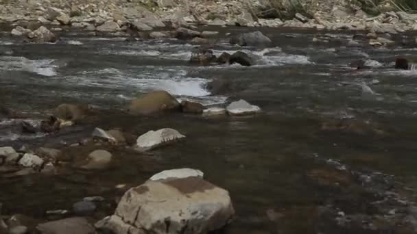 Vista Rio Montanha Pedras Rochas Fluxo Fluvial — Vídeo de Stock