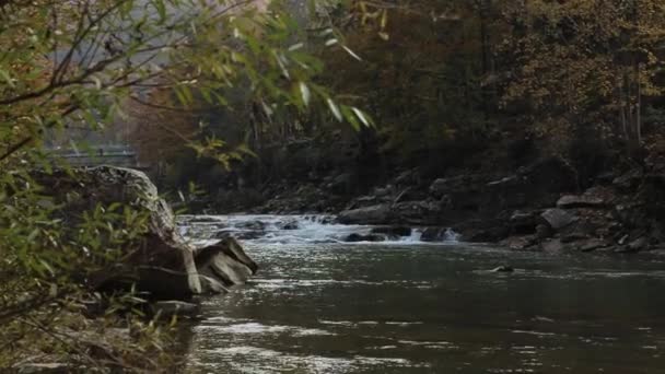 Vista Rio Montanha Pedras Rochas Fluxo Fluvial — Vídeo de Stock