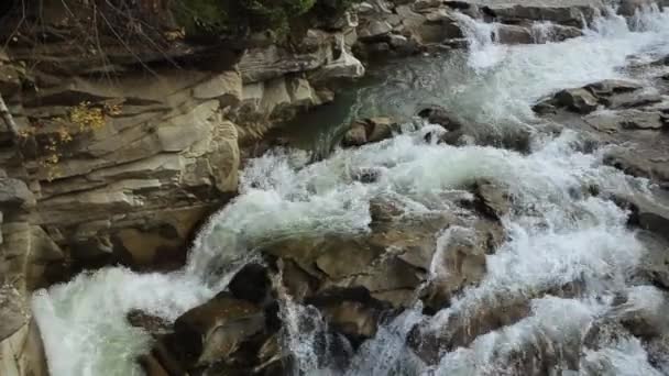 Widok Górską Rzekę Kamienie Skały Górski Przepływ Rzeki — Wideo stockowe