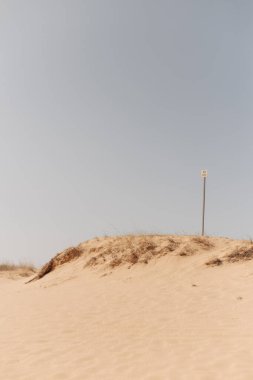 Çöl manzarası, kuru otlar ve sarı kum.