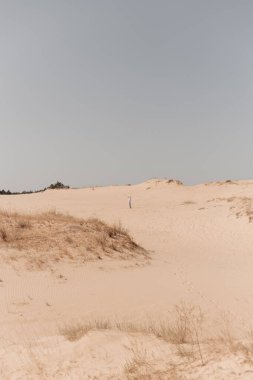 Çöl manzarası, kuru otlar ve sarı kum.