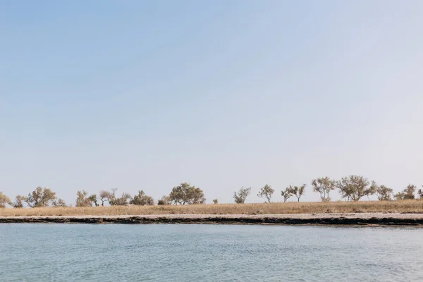 Het Mooiste Landschap Het Reservaat Een Heldere Dag Het Eiland — Stockfoto