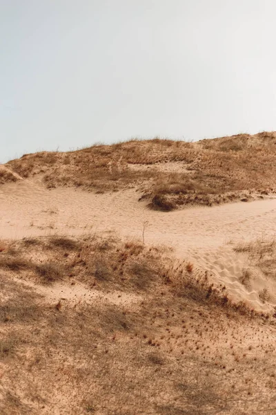 Пустельний Пейзаж Суха Трава Жовтий Пісок — стокове фото