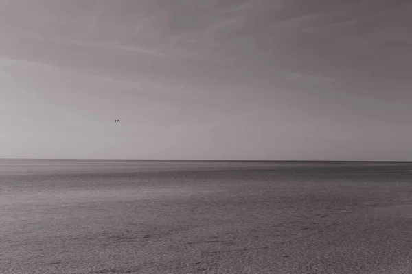 Zwarte Witte Kunst Fotografie Met Uitzicht Zee — Stockfoto