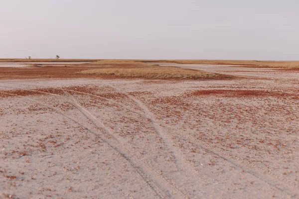 Het Mooiste Landschap Het Reservaat Een Heldere Dag Het Eiland — Stockfoto