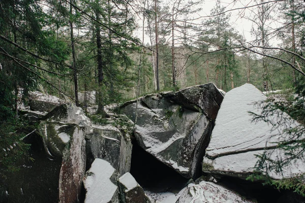 Πέτρες Και Βρύα Ανάμεσα Στα Δέντρα Στο Χειμερινό Δάσος — Φωτογραφία Αρχείου
