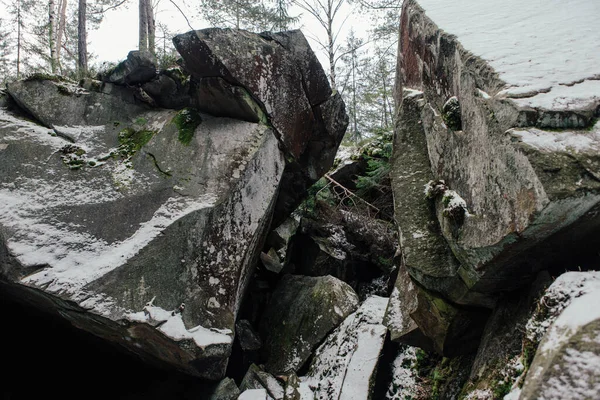 Pedras Musgo Entre Árvores Floresta Inverno — Fotografia de Stock