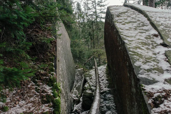 Paisagem Floresta Nas Montanhas Pedras Troncos Árvores Cobertos Musgo — Fotografia de Stock