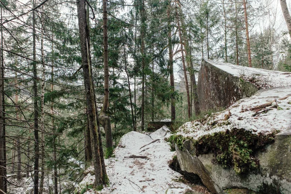 Пейзаж Лісі Горах Скелі Стовбури Дерев Покриті Мохом — стокове фото