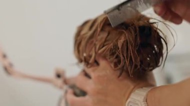 Güzel ve şirin Yorkshire teriyeri saç kurutma makinesi ve köpek tüyü ile tımar ediliyor ve kurutuluyor.