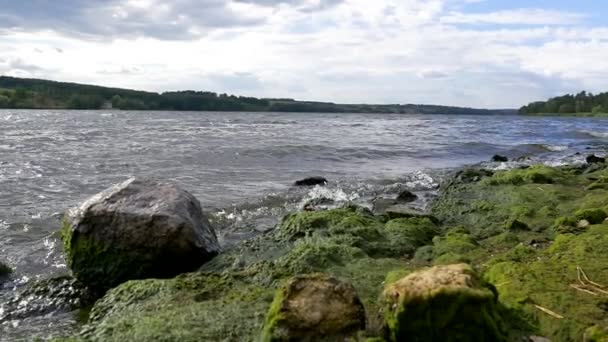 Waves on a river - slow motion — Stock Video