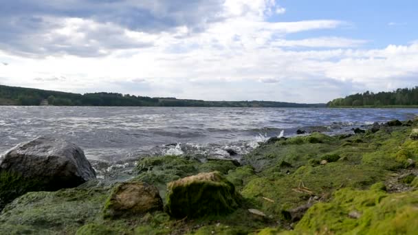 Vagues sur une rivière - au ralenti — Video