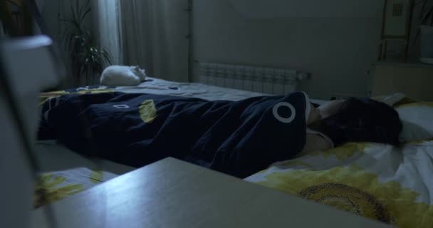Młoda Kobieta Próbująca Zasnąć Sypialni Bezsenność Nocy Kot Śpiący Łóżku — Wideo stockowe