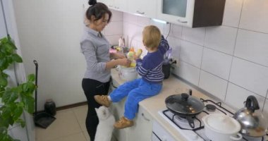 Cat, Yemek İsteyen Ev Kadınına Patates Veriyor. Mutfakta Çocukla Anne Yemeği Hazırlamak