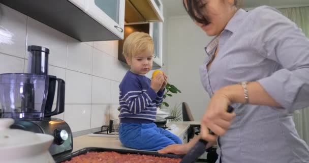 Busy Housewife Caring Mother Preparing Vegetarian Vegan Food Child Kitchen — Stock Video