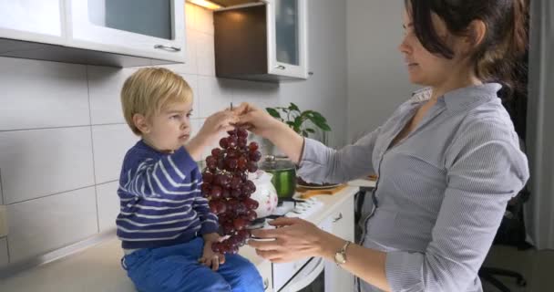 Madre Hijo Gran Racimo Uva Niño Sosteniendo Las Manos Sentado — Vídeos de Stock