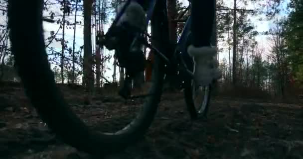 Närbild Cykelhjul Lämnar Däckspår Dirt Kvinnlig Ridcykel Höstskog Morgonkväll — Stockvideo