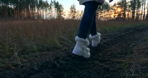 Mujer Caminando Senderismo Primeros Pasos Femeninos Calzado Huellas Dirt Road — Vídeo de stock