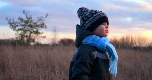 フィールド フットパス トレイルを歩く子供に続きます 冬の秋の夜の田園風景 — ストック動画