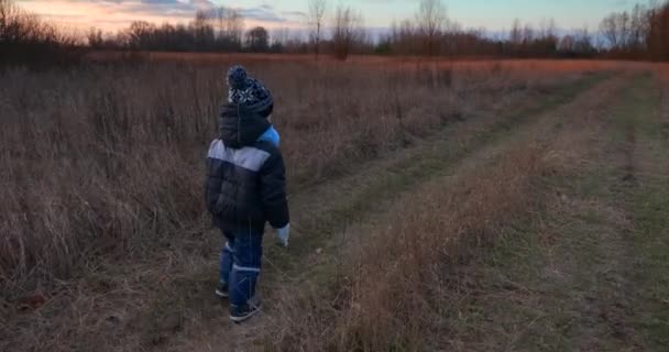 フィールド フットパス トレイルを歩く子供に続きます 冬の秋の夜の田園風景 — ストック動画