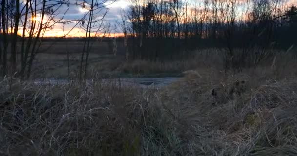 Walking Footpath Pathway Trail Sunset Field Зимний Осенний Вечер — стоковое видео