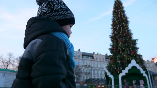 Pequeño Niño Mirando Árbol Navidad Vacaciones Invierno Evening City Square — Vídeos de Stock