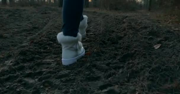 Woman Walking Hiking Închideți Urmele Încălțăminte Ale Pașilor Feminini Dirt — Videoclip de stoc
